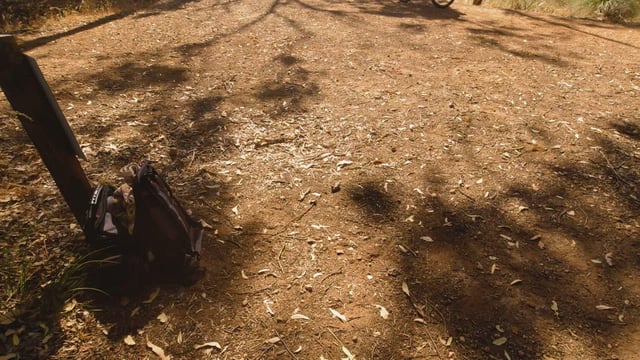 Riskiest sex we ever had…giving a blowjob right by the path!