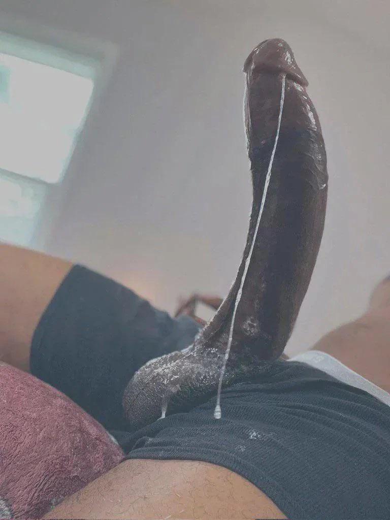 we both know this is what u really need