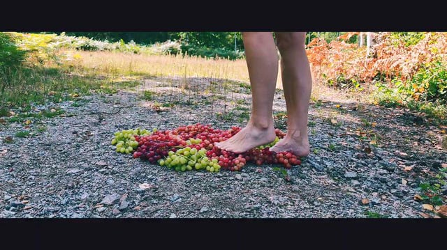 Listen to the grapes being squashed while I make you some wine