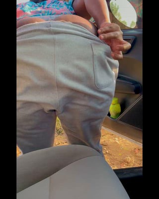Would you pull over ?