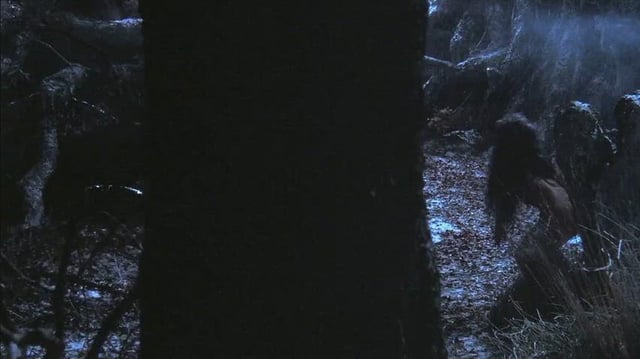 Danielle Dax – The Company of Wolves (1984)