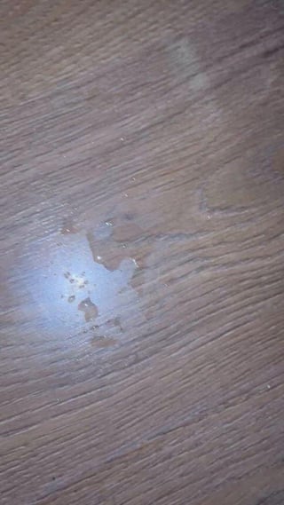 Can’t help but tasting my juices, so desperate to suck cock and taste all that hot cum I have to taste my own cum instead😮💨🤤Amateur Degrading Slut Porn GIF