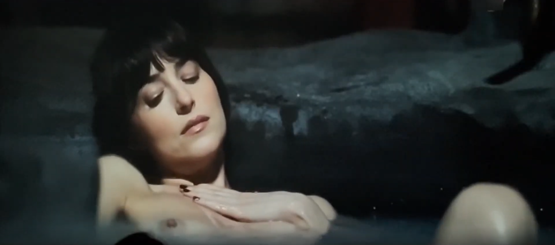 Dakota Johnson in Verity 2026