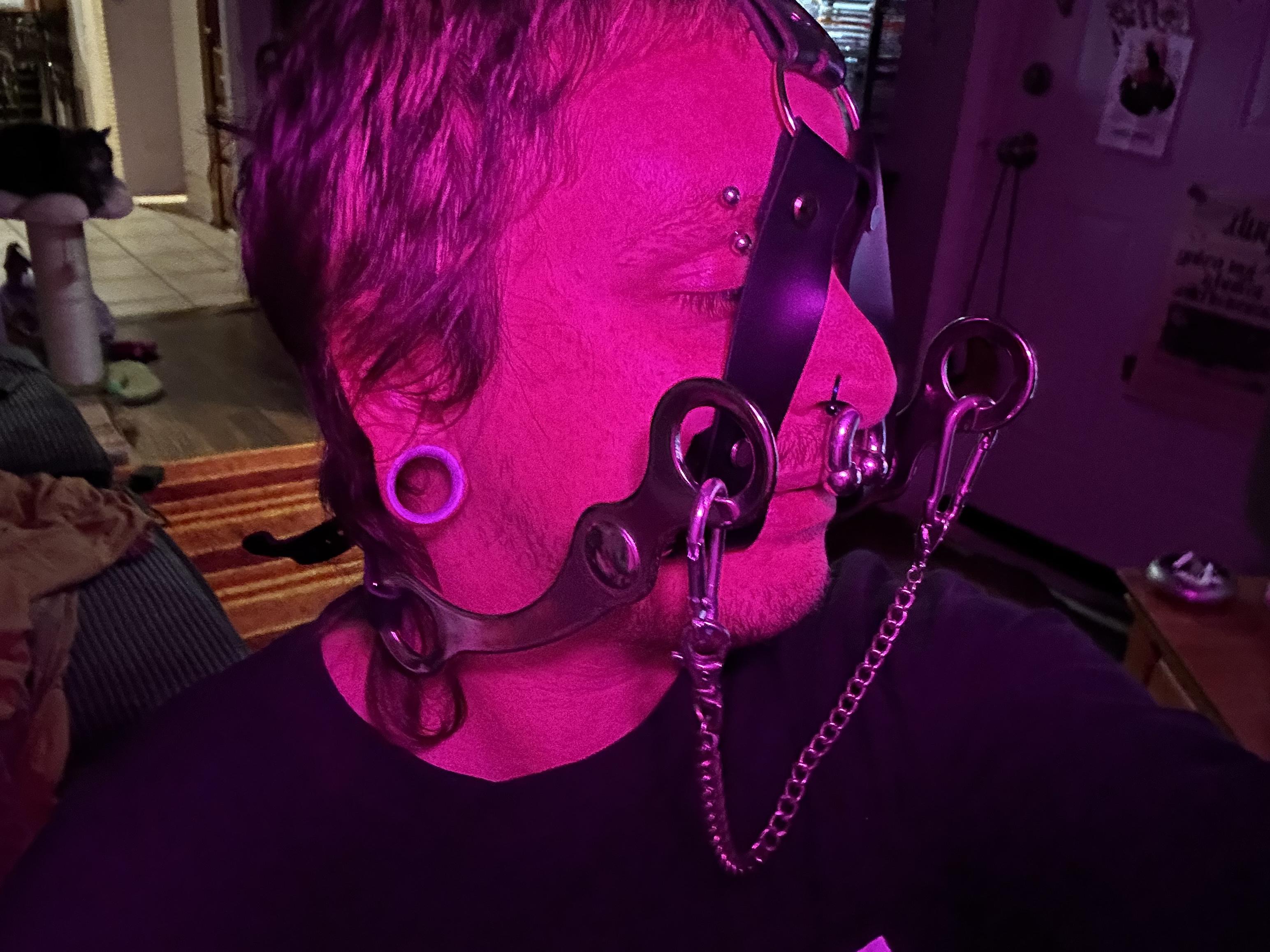 this horse bit harness i made really knows how to make a boy drool…